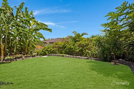 Property photo of 51 Antonson Crescent Mudgeeraba QLD 4213