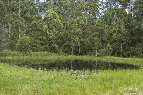 Property photo of 4 Doakes Lane Tinonee NSW 2430