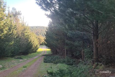 2686 Wee Jasper Rd, Tumorrama, NSW 2720