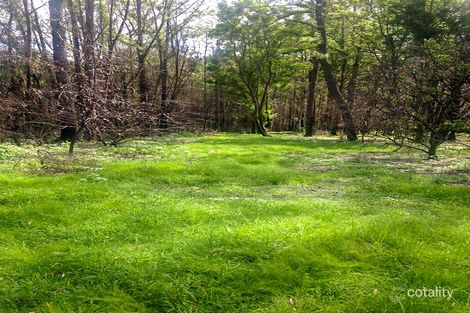 Property photo of 2562 Bulga Road Bobin NSW 2429