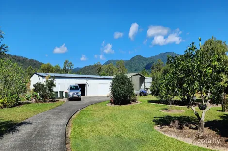 Property photo of 21 Williams Avenue Cardwell QLD 4849