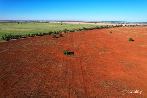 981 Myamley Rd, Tottenham, NSW 2873