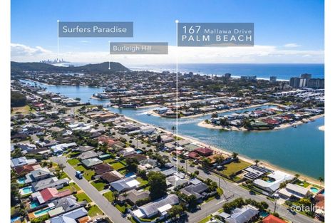 Property photo of 167 Mallawa Drive Palm Beach QLD 4221