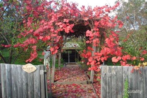 Property photo of 632 New Buildings Road Wyndham NSW 2550