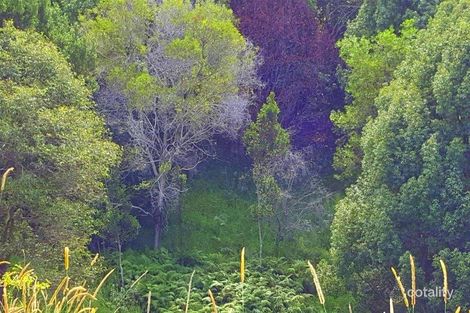 Property photo of 639 Currumbin Creek Road Currumbin Valley QLD 4223