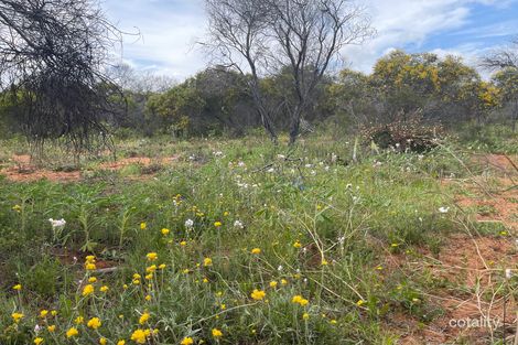 Property photo of 51 Mount Horner Road West Bookara WA 6525