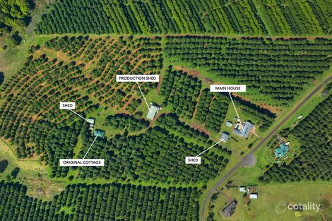 68 Connor Rd, Tregeagle, NSW 2480