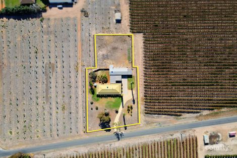 Property photo of 32 Moorna Street Crescent SA 5341