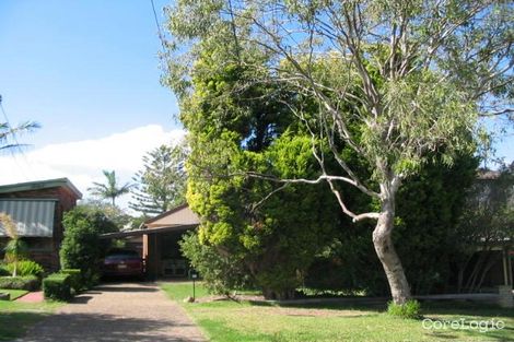 Property photo of 41 Kangaroo Road Collaroy Plateau NSW 2097