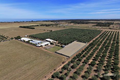 Property photo of 88 Button Road Aldinga Beach SA 5173