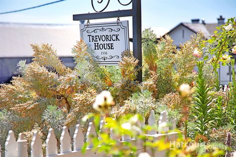 Property photo of 24 King Edward Street Penguin TAS 7316