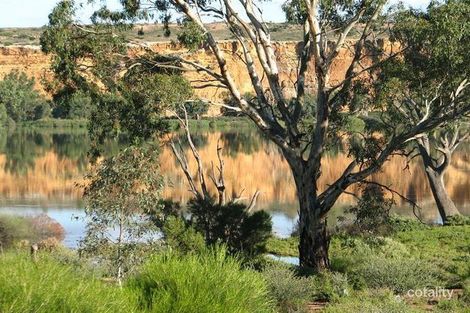 Property photo of 135 Post Office Road Sunnydale SA 5353