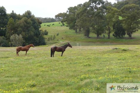 88 Langridge Rd, Brookhampton, WA 6239