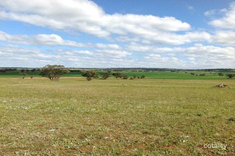 Lot 111 Law Rd, Pallamana, SA 5254