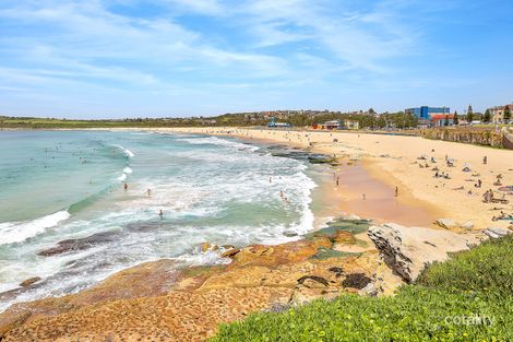 Property photo of 3/2 Chester Avenue Maroubra NSW 2035