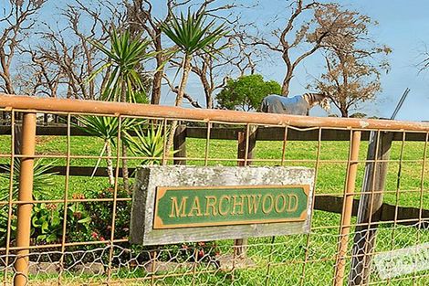 Property photo of 6 Shekleton Street Pearcedale VIC 3912