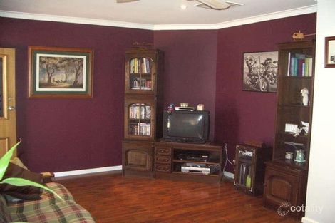 Property photo of 892 Irymple Avenue Irymple VIC 3498