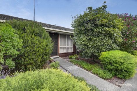 3/232-234 Wilsons Rd, Whittington, VIC 3219