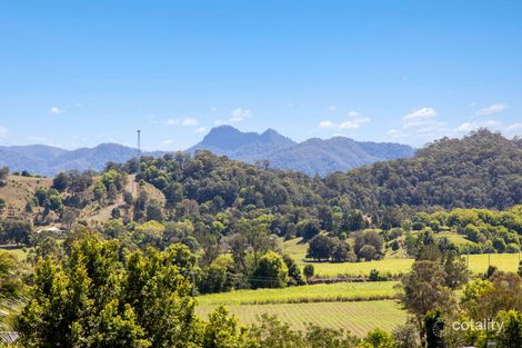 Property photo of 2/8 Saddle Way Murwillumbah NSW 2484