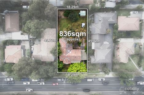 316 Middleborough Rd, Blackburn, VIC 3130
