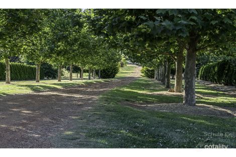 703 Dangarsleigh Rd, Dangarsleigh, NSW 2350