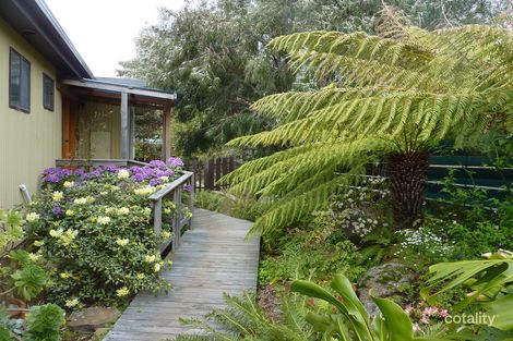 Property photo of 1 Banksia Street Bicheno TAS 7215