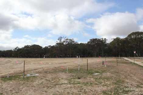 Property photo of 19 Spillett Street Forde ACT 2914