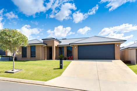 41 Lawson Cct, Lavington, NSW 2641