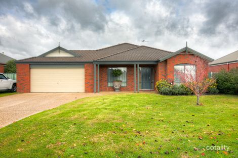 Property photo of 45 Rivergum Drive East Albury NSW 2640