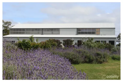 32 Waterton Hall Rd, Rowella, TAS 7270