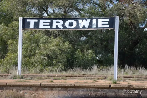 134 Mitchell St, Terowie, SA 5421