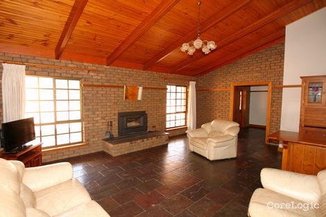 Property photo of 161 Thiele Road Loveday SA 5345
