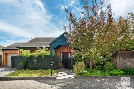 Property photo of 6/62 Sydney Street Glenside SA 5065