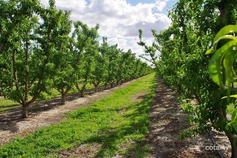 100 Arumpo St, Renmark West, SA 5341