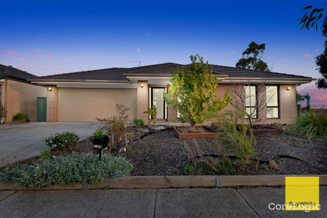 Property photo of 129 Ribblesdale Avenue Wyndham Vale VIC 3024