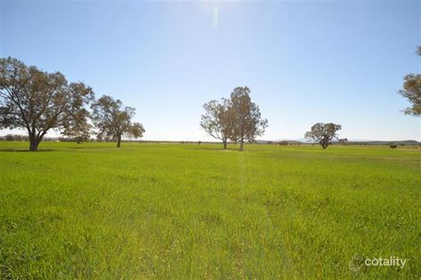 267 Curracabah Rd, Baan Baa, NSW 2390