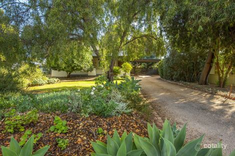Property photo of 420 The Terrace Risdon Park SA 5540