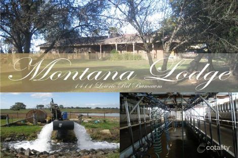 1411 Lowrie Rd, Bamawm Extension, VIC 3564