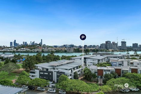 Property photo of 2/48 Addison Avenue Bulimba QLD 4171