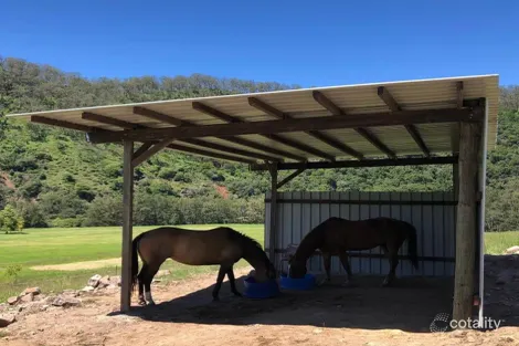 Property photo of 689 Manchester Road Bindera NSW 2422
