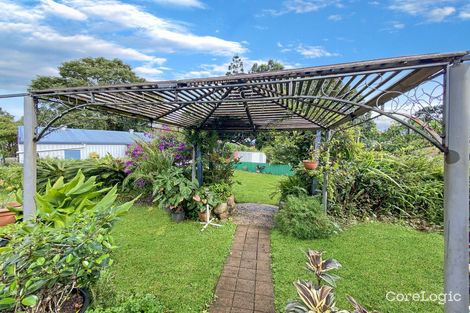 Property photo of 12 Wattle Street Millaa Millaa QLD 4886