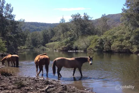 Property photo of 703 Manchester Road Bindera NSW 2422