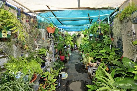 Property photo of 46/31 McNeilly Street Norville QLD 4670