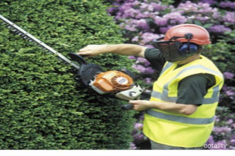 6 Beacon Dr, Langwarrin, VIC 3910