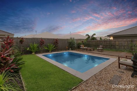 Property photo of 31 Foxtail Circuit Mountain Creek QLD 4557