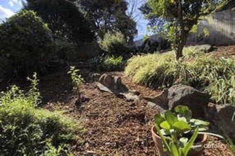 Property photo of 80 Phoenix Street Lane Cove NSW 2066