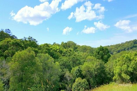 Property photo of 639 Currumbin Creek Road Currumbin Valley QLD 4223