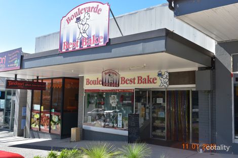 58 The Boulevarde, Toronto, NSW 2283