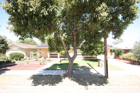 31 Watson Ave, Netley, SA 5037