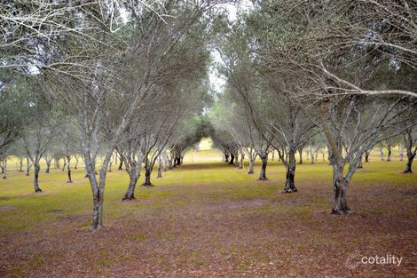 Property photo of 566 Esk Crows Nest Road Biarra QLD 4313